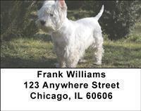 Wonderful Westies Address Labels