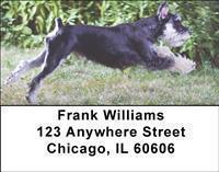 Schnauzers Address Labels