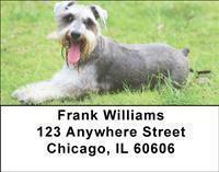 Schnauzers Address Labels