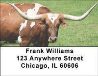 Texas Address Labels