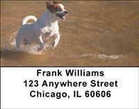 Jack Russells Address Labels