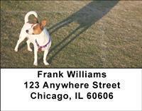 Jack Russells Address Labels