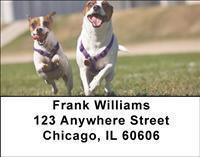 Jack Russells Address Labels