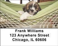 Lhasa Apsos Address Labels