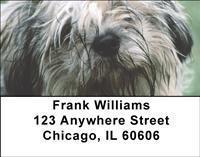 Lhasa Apsos Address Labels