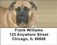 Mighty Mastiffs Address Labels