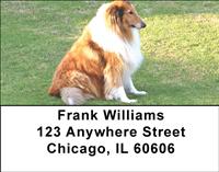 Collies Address Labels