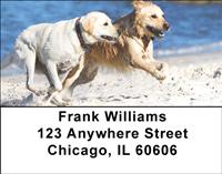 Labrador Fun Address Labels