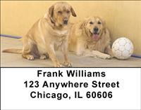 Labrador Fun Address Labels