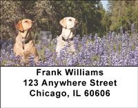 Labrador Fun Address Labels