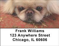 Pekingese Address Labels