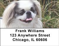 Pekingese Address Labels