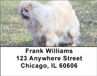 Pekingese Address Labels