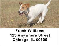 Smooth Fox Terriers Address Labels