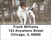 Smooth Fox Terriers Address Labels