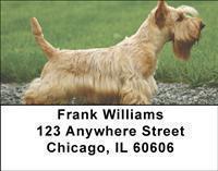 Scottish Terriers Address Labels