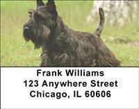 Scottish Terriers Address Labels