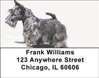 Scottish Terriers Address Labels