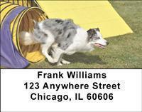 Australian Shepherds Address Labels