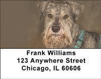 Miniature Schnauzers Address Labels