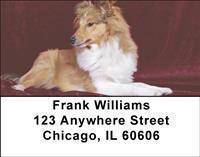 Shetland Sheepdogs Address Labels