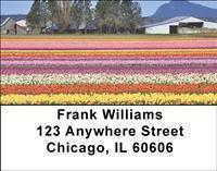 Fields of Flowers Address Labels