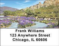 Fields of Flowers Address Labels