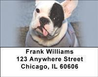 French Bulldogs Address Labels