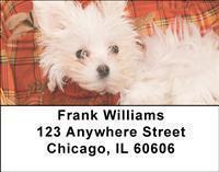 Maltese Address Labels