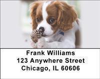 Cavalier King Charles Spaniels Address Labels