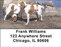 Brittany Spaniels Address Labels