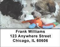 Havanese Address Labels