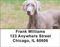 Weimaraners Address Labels