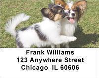 Papillons Address Labels