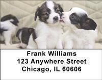Papillons Address Labels