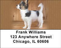Papillons Address Labels