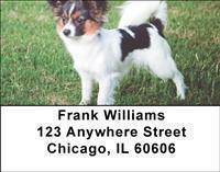 Papillons Address Labels