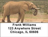 Safari Address Labels
