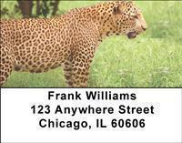 Safari Address Labels