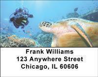 Scuba Diving Address Labels