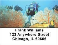 Scuba Diving Address Labels