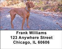 Vizslas Address Labels
