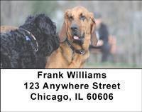 Bloodhounds Address Labels