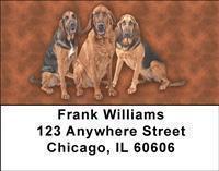 Bloodhounds Address Labels
