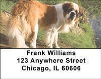 Saint Bernards Address Labels