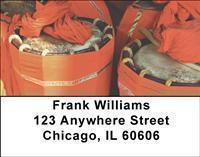 International Drums Address Labels
