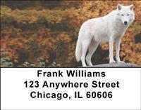 Arctic Wolves Address Labels
