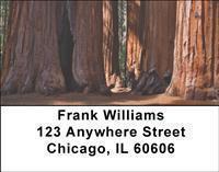 National Parks III Address Labels