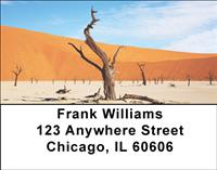 Desert Trees Address Labels