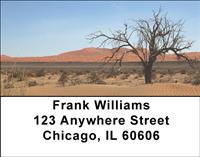 Desert Trees Address Labels